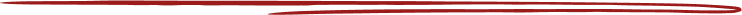 Vector